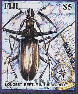 Фиджи, Самый Большой Жук Мира, 2004, блок